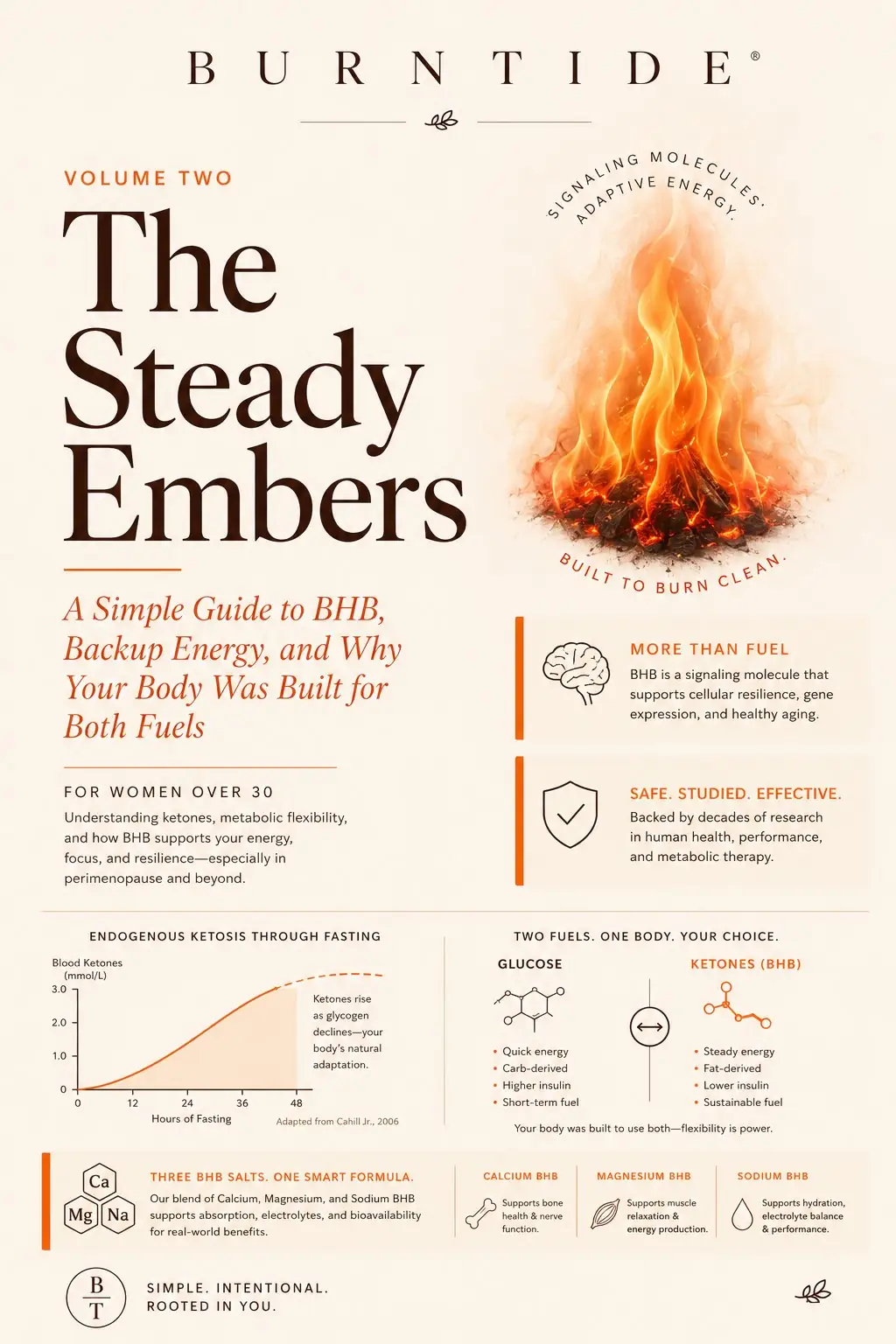The Steady Embers